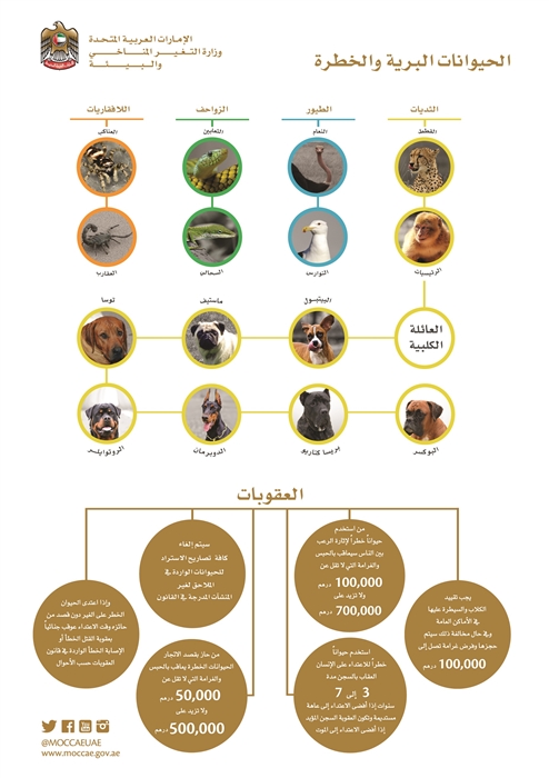 الحيوانات البرية الخطرة .jpg