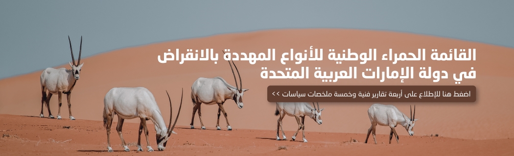 القائمة الحمراء الوطنية للأنواع المهددة بالانقراض  في دولة الإمارات العربية المتحدة