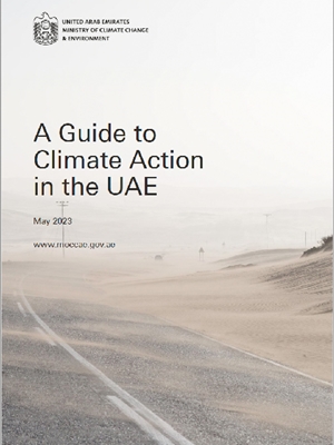A Guide to Climate Action in the UAE