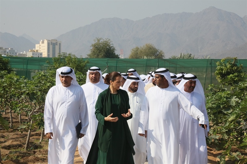 UAE Farmers Council discusses initiatives to strengthen the sustainability of the agricultural sector 