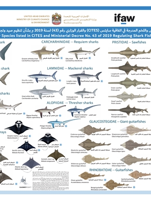 أنواع أسماك القرش واللخم المدرج فـي اتفاقيـــة CITES