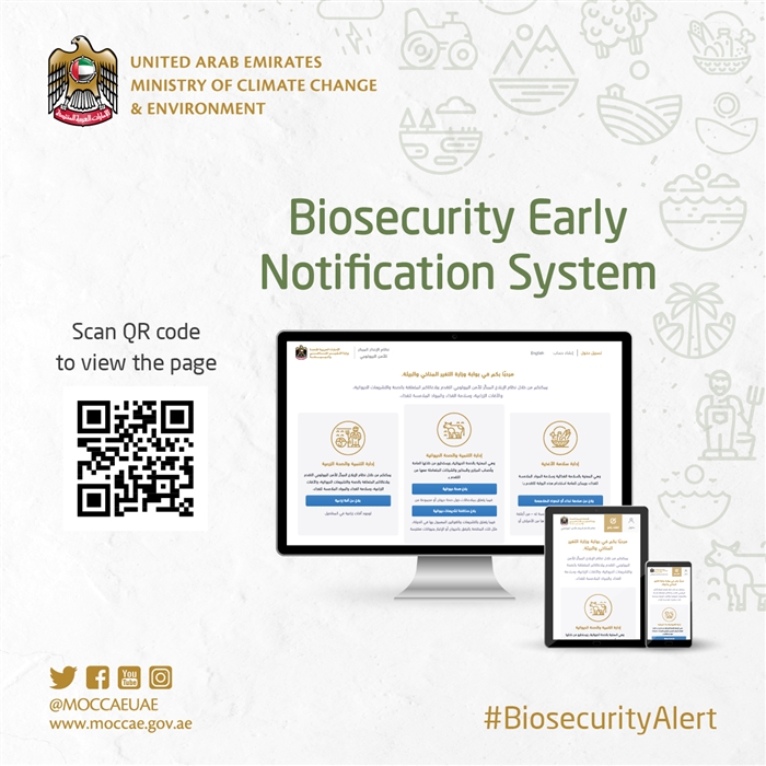 Ministry Of Government And Consumer Services Organizational Chart