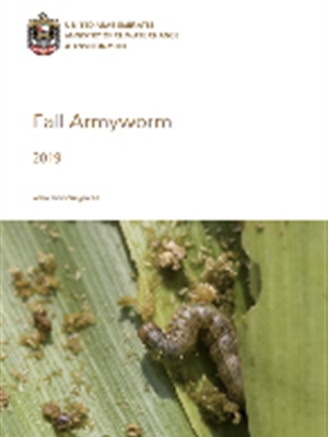 Fall Armyworm