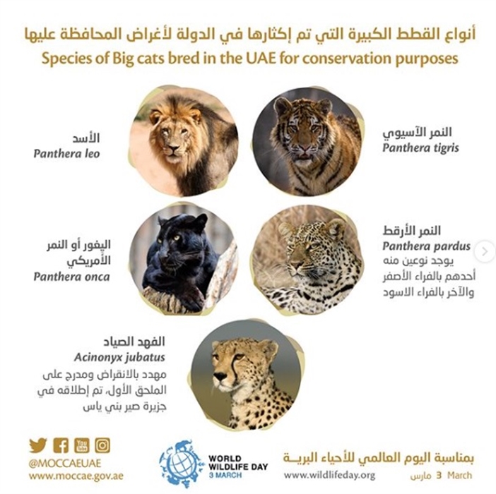 Activities and Events | Media Center | UAE Ministry of Climate Change and  Environment