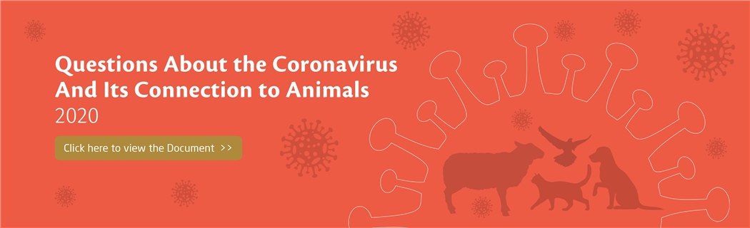 Questions About the Coronavirus And Its Connection to Animals 2020