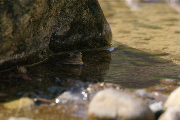 Wadi Wurayah National Park