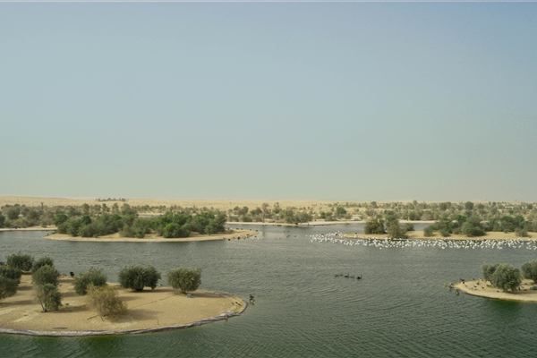 AL MARMOOM DESERT CONSERVATION RESERVE 