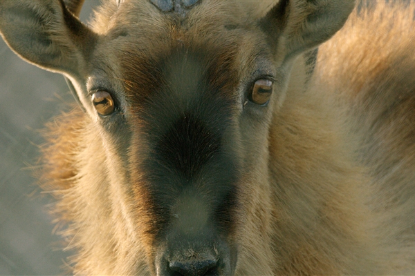 Wadi Wurayah National Park