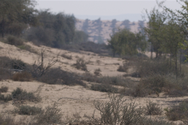 AL MENTETHER PROTECTED AREAS