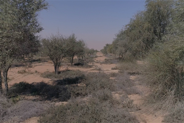 AL MENTETHER PROTECTED AREAS