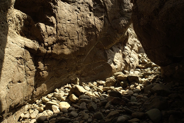 Wadi Wurayah National Park