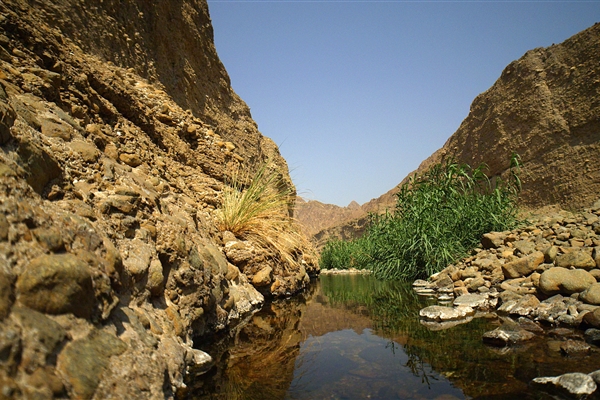 Wadi Wurayah National Park
