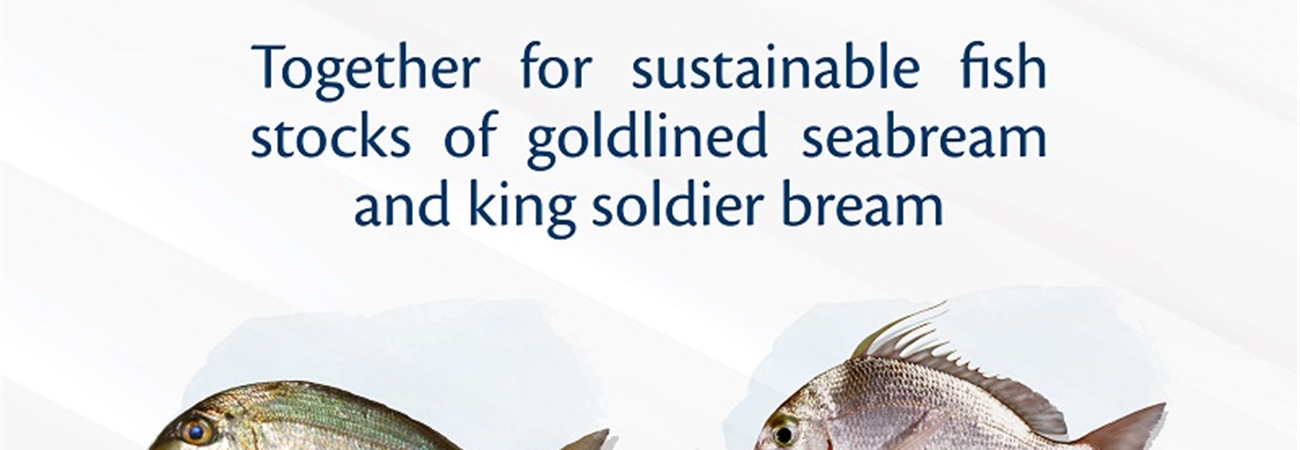 Ministry of Climate Change and Environment to Commence Seasonal Ban on Fishing, Trade of Goldlined Seabream, King Soldier Bream