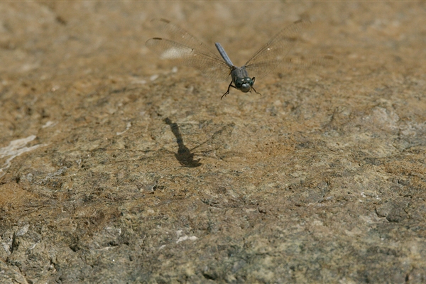 Wadi Wurayah National Park