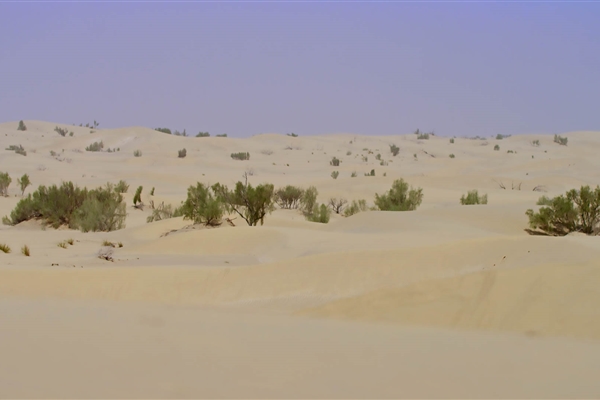 AL MARZOOM HUNTING RESERVE (AL GHADHA)
