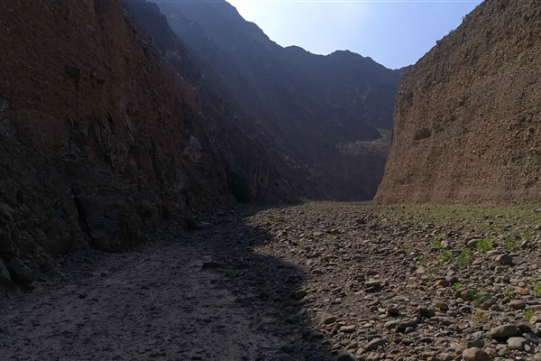 Wadi Wurayah National Park