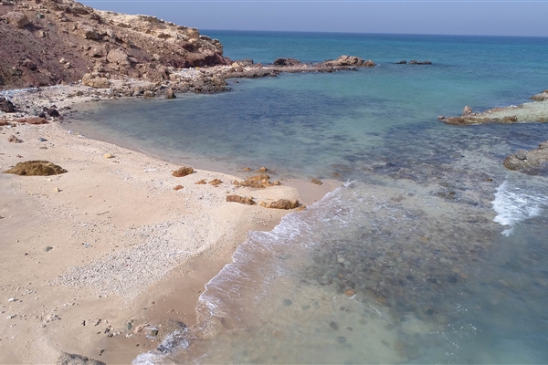 محمية حزام غابات المنتثر  