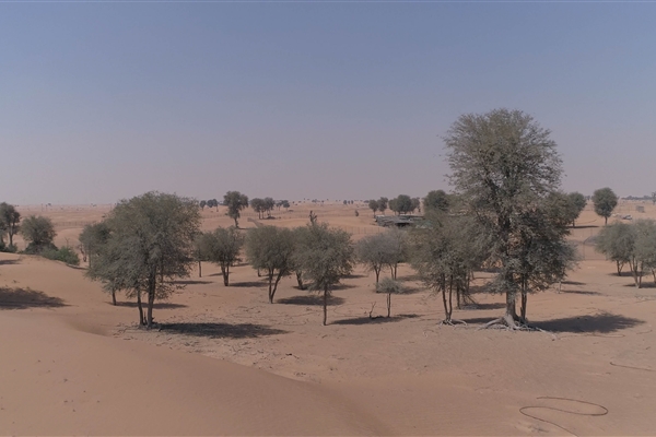 AL MENTETHER PROTECTED AREAS