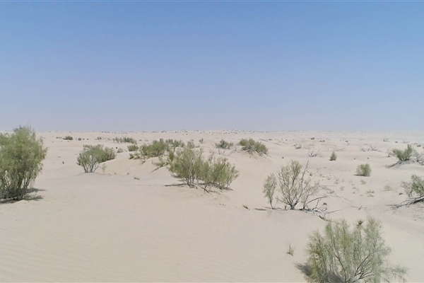 AL MARZOOM HUNTING RESERVE (AL GHADHA)