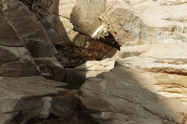 Wadi Wurayah National Park