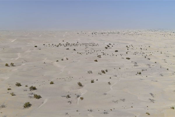AL MARZOOM HUNTING RESERVE (AL GHADHA)