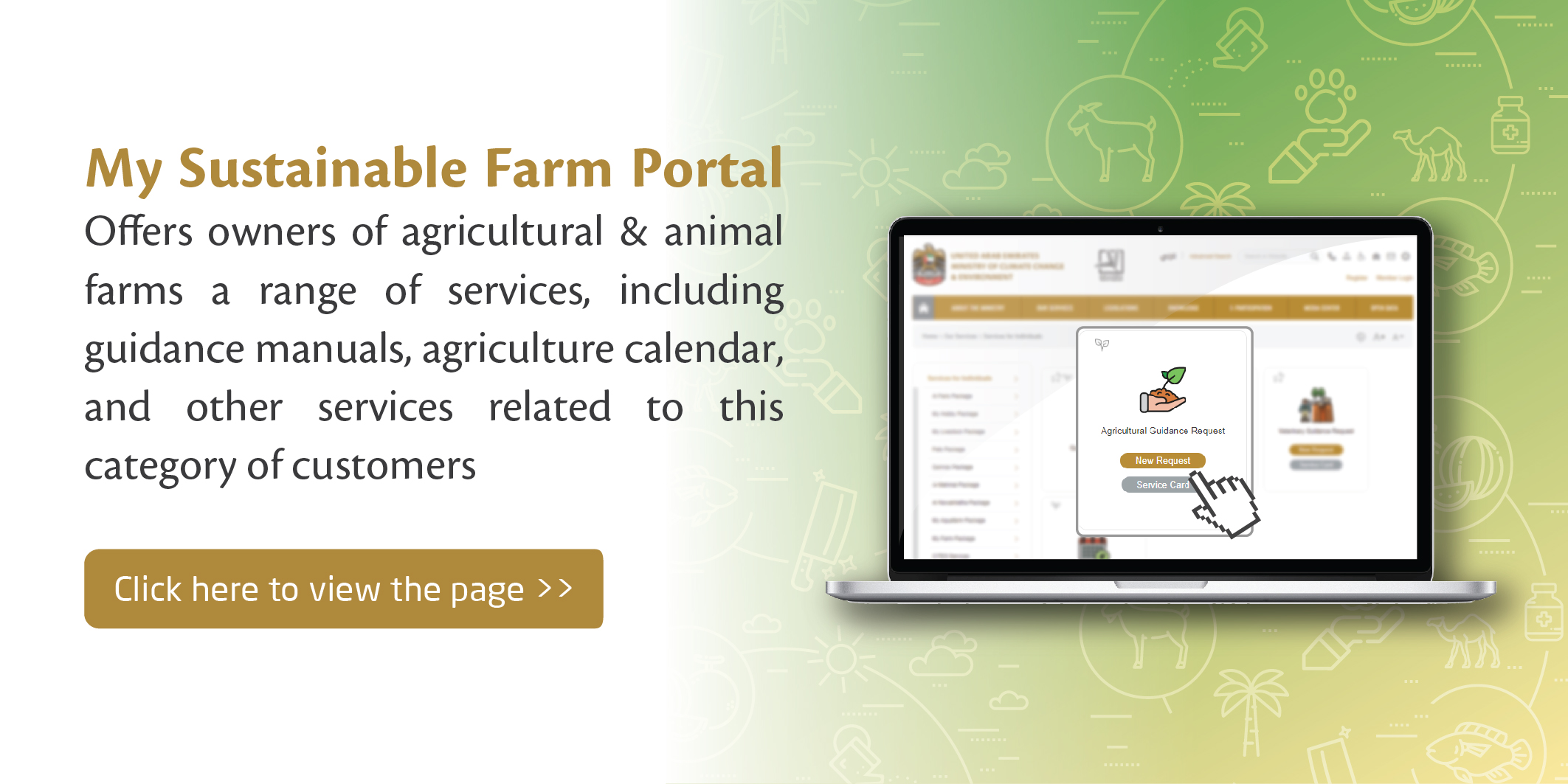 Dg Agri Organisation Chart