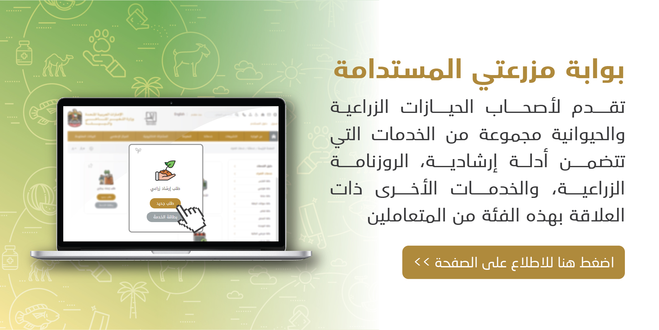 وزارة الصحة ووقاية المجتمع الإمارات العربيه المتحدة
