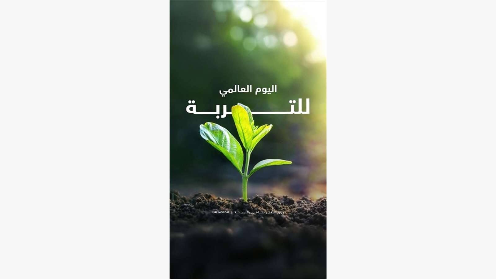 اليوم العالمي للتربة